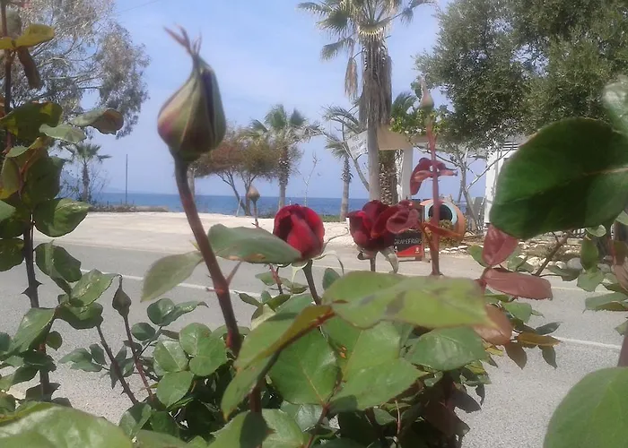 Aparthotel Periyiali